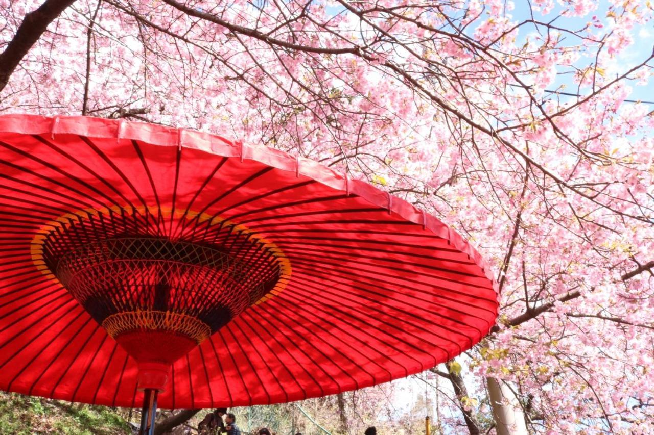 Stay Sakura Kyoto Gion Miyagawacho Dış mekan fotoğraf